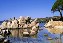 获取草榴邀请码、小草邀请码及1024邀请码的指南